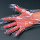 Plastic Disposable Gloves