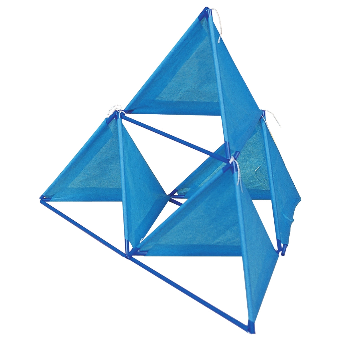 KaZoon Kites Teacher's Guide