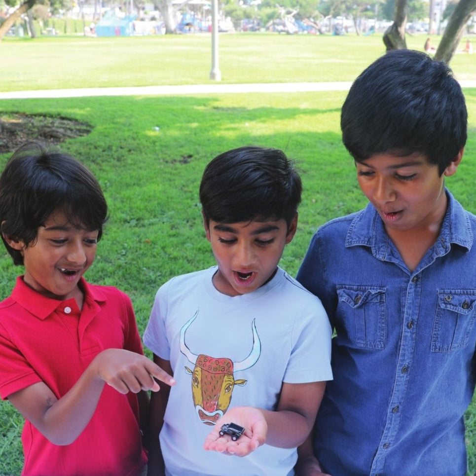 Venturer Program Grades 3-5 Environmental Science