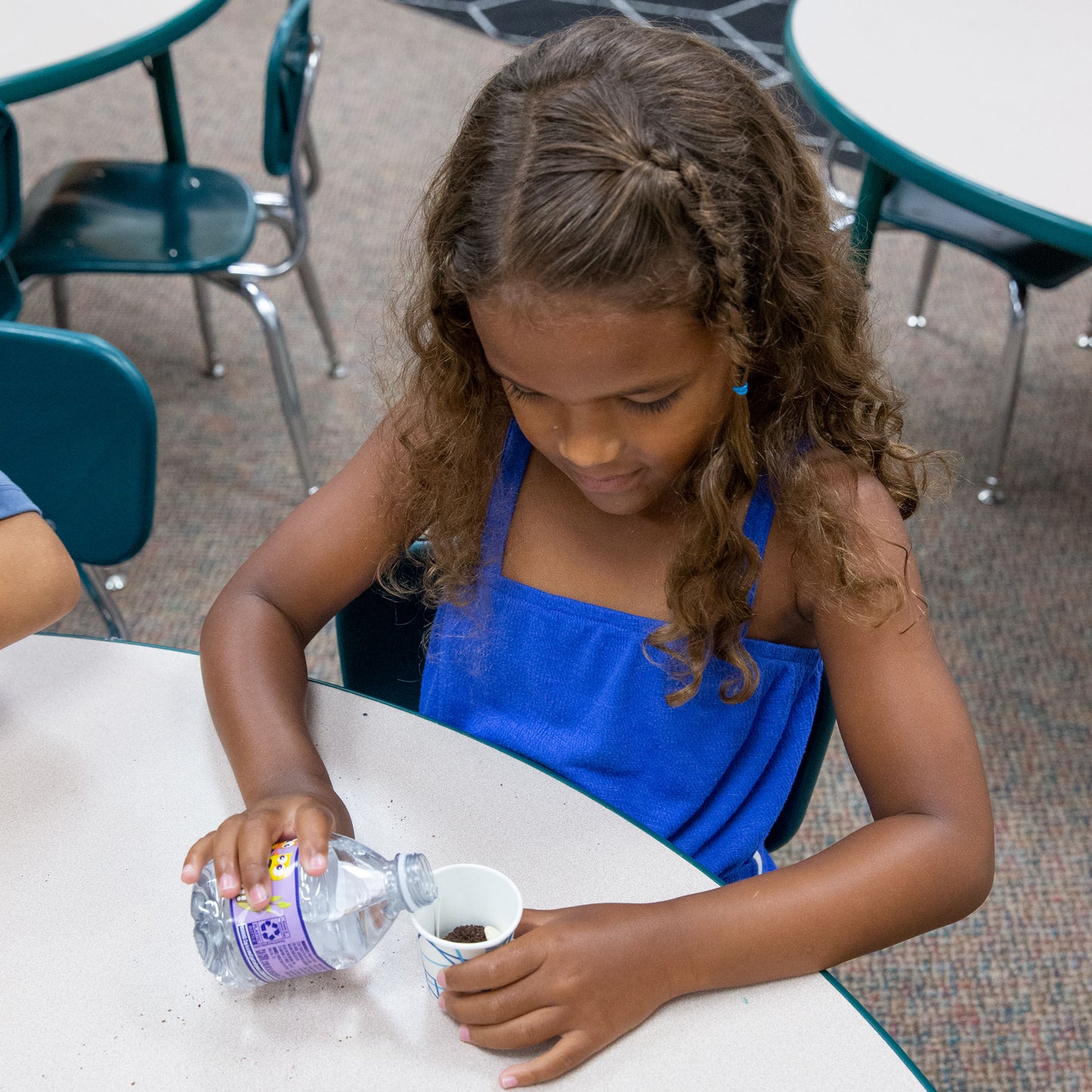 Graphs and Measurement PreK-2 Activity Bundle