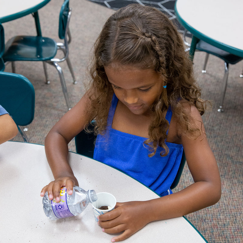 Graphs and Measurement PreK-2 Activity Bundle