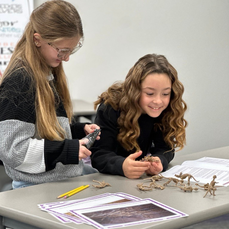 Paleontology Grades 3-4 Activity Bundle