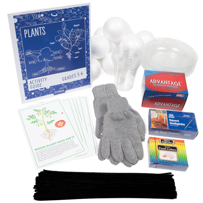 Plants Grades 5-6 Activity Bundle