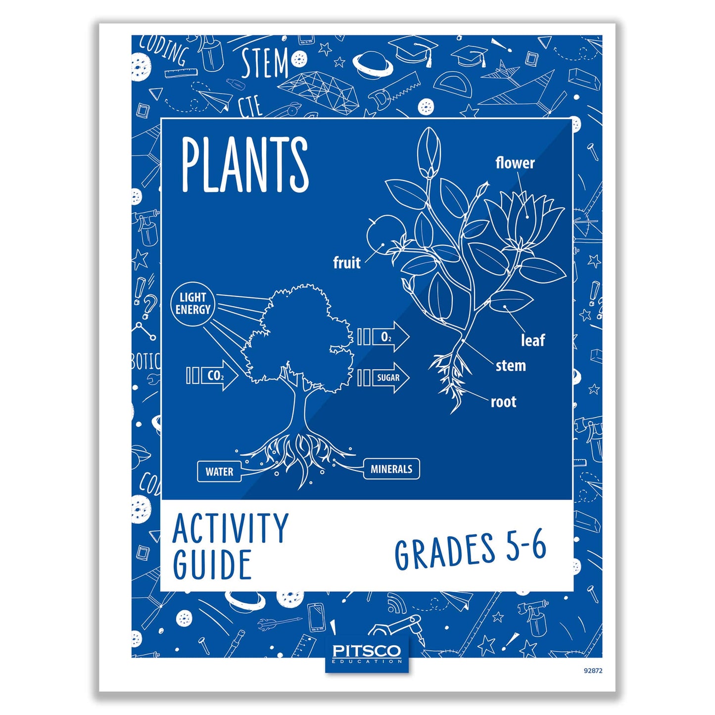 Plants Grades 5-6 Activity Bundle
