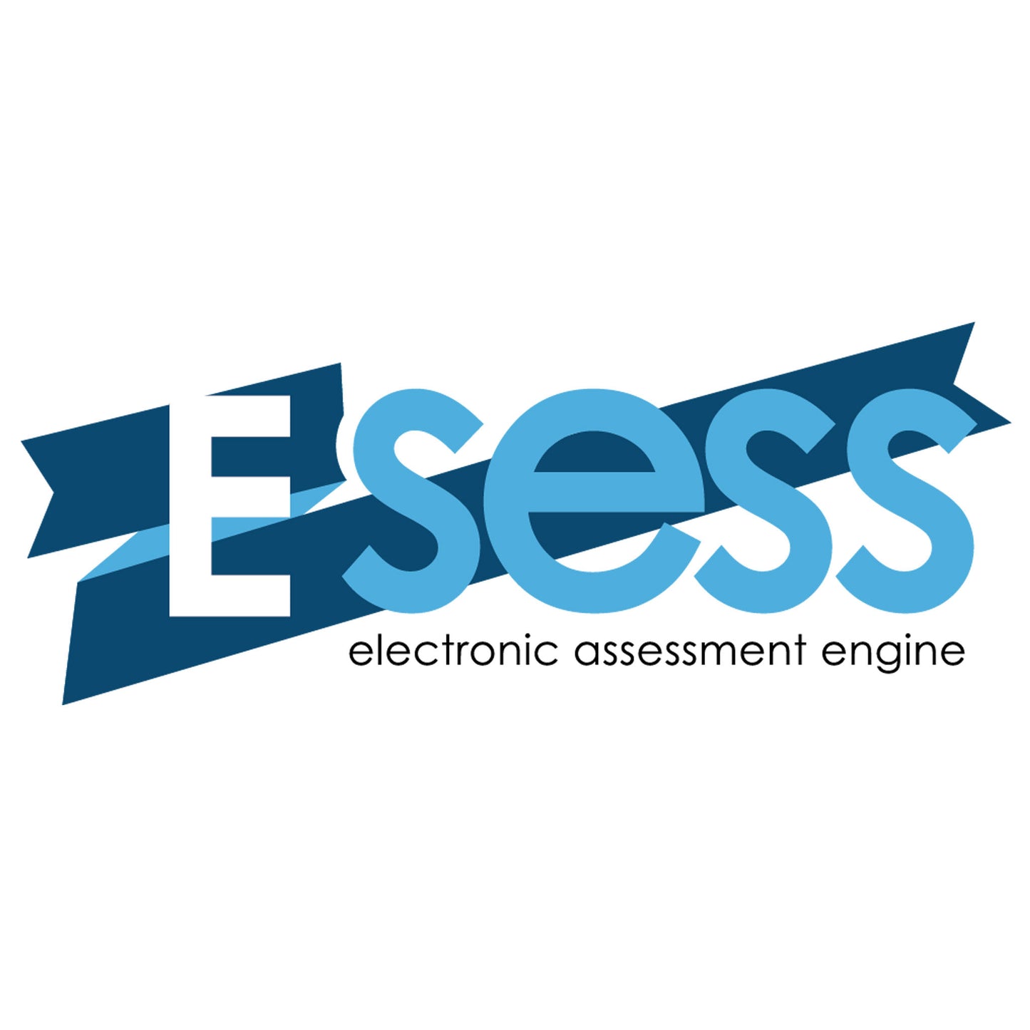 Pitsco Online Entrepreneurship Institute