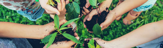 Gardening – An outdoor STEM activity for all ages