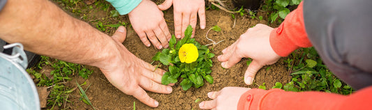 Can you dig it? National Plant a Flower Day is March 12