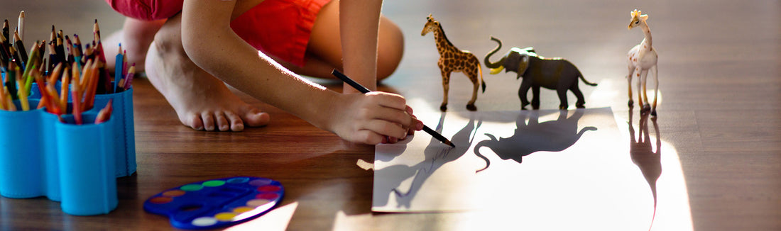 Shadow Sculpture Activities for Light and Shadow Science