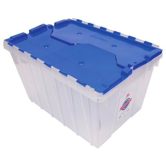 Storage Bin with Flip-Top Lid