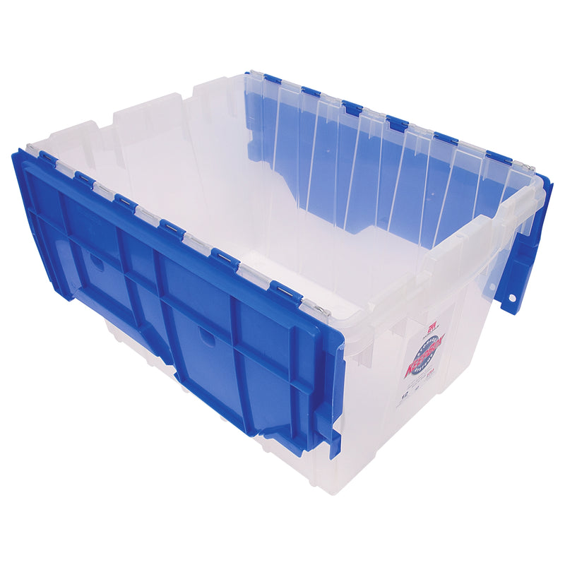 Storage Bin with Flip-Top Lid