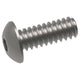 Button Head Cap Screw (3/8")