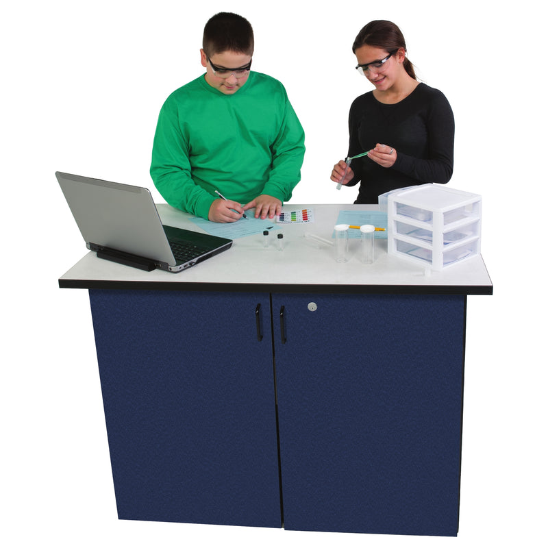 Flex Power Storage