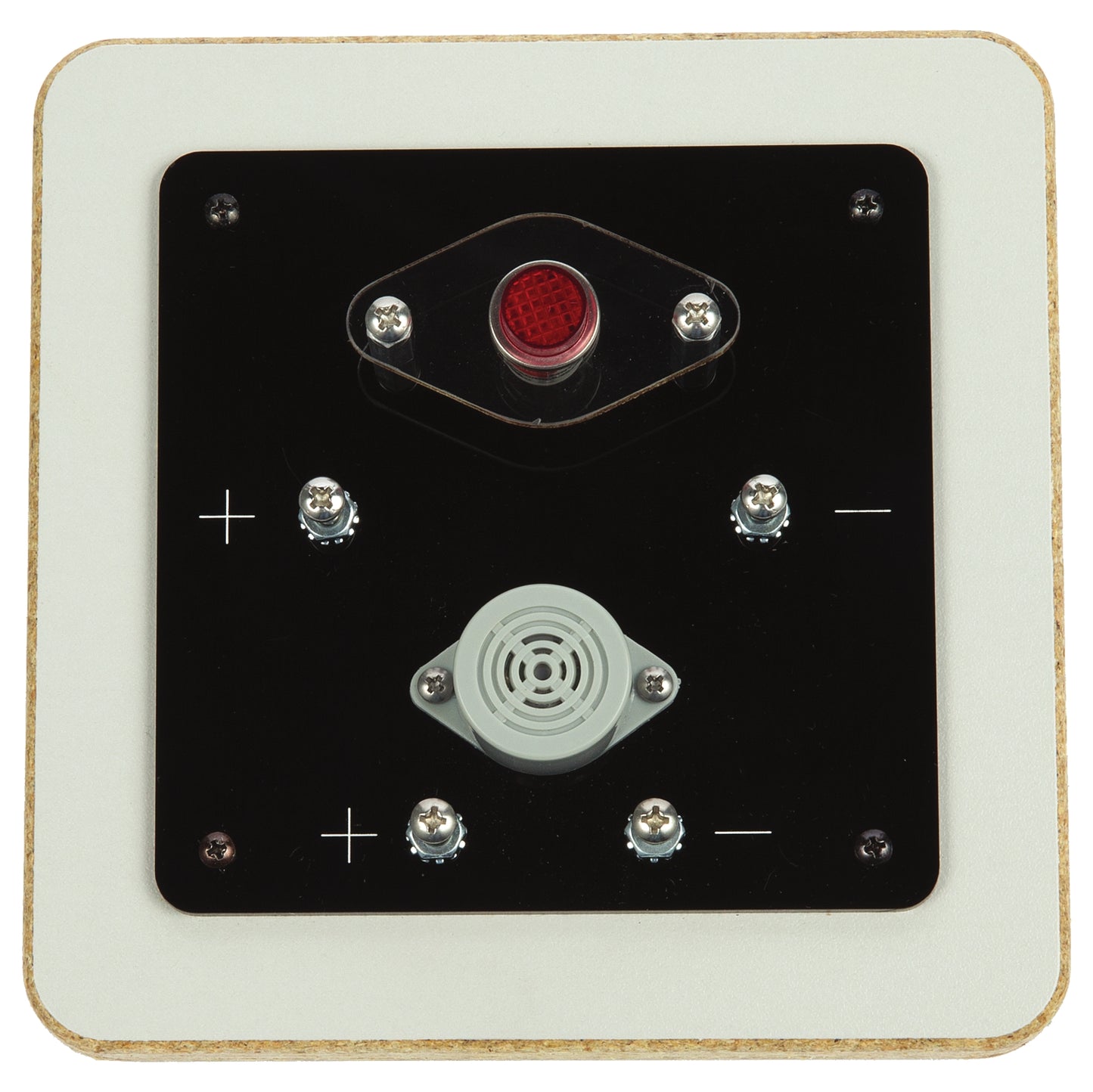 STEM in the Gym® Light and Buzzer Board