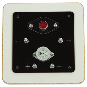 STEM in the Gym® Light and Buzzer Board