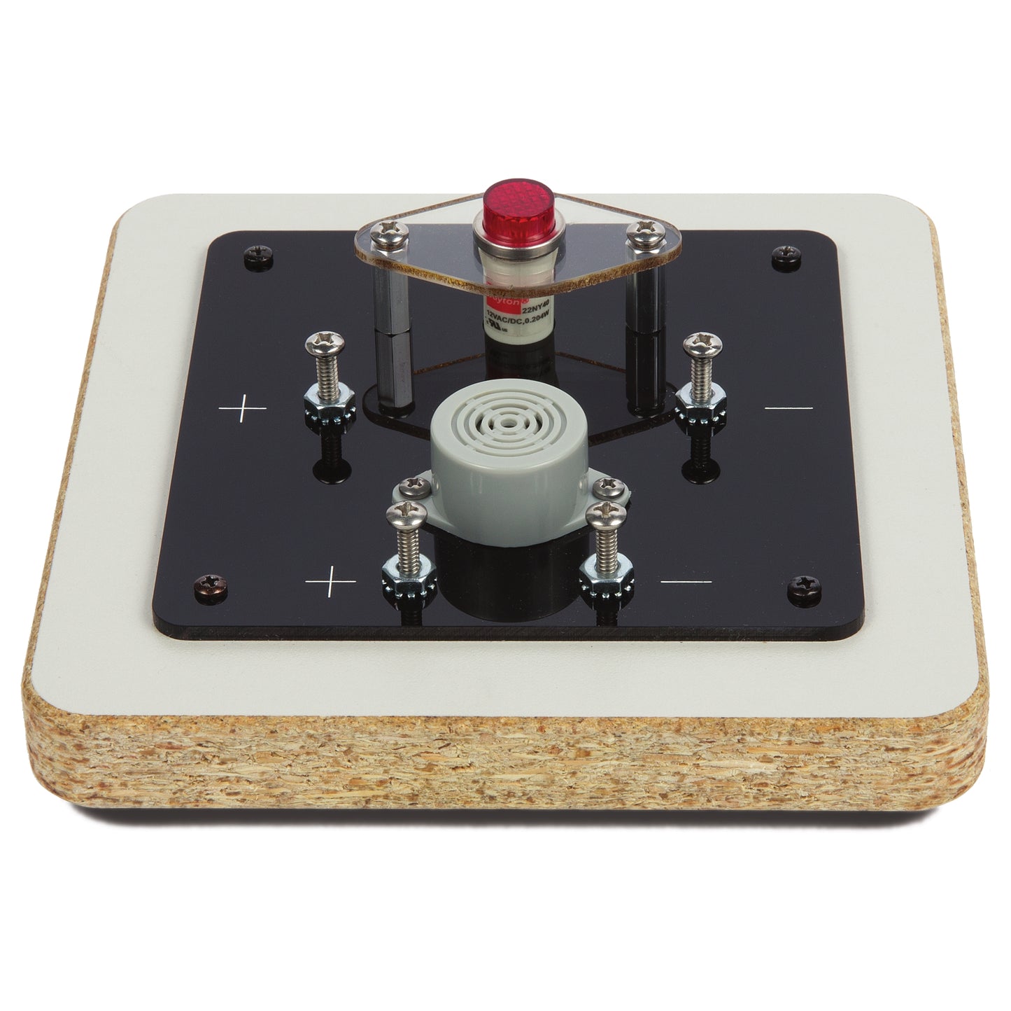 STEM in the Gym® Light and Buzzer Board