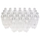 20 oz Plastic Bottle 30-Pack