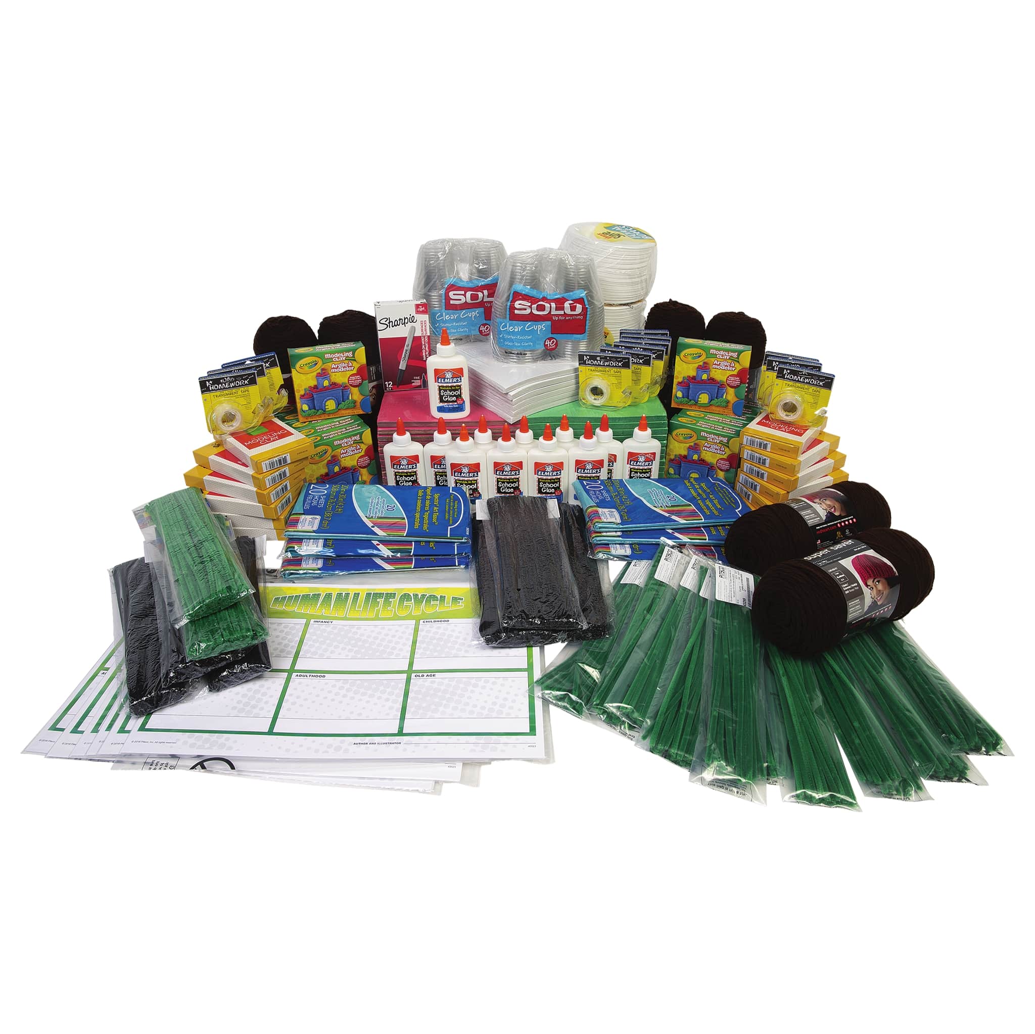 Support 120 Learners With the Life Cycles Consumable Kit