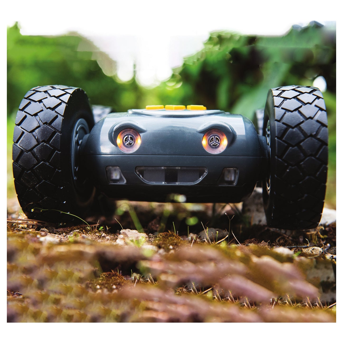 Rugged Robot Single Set