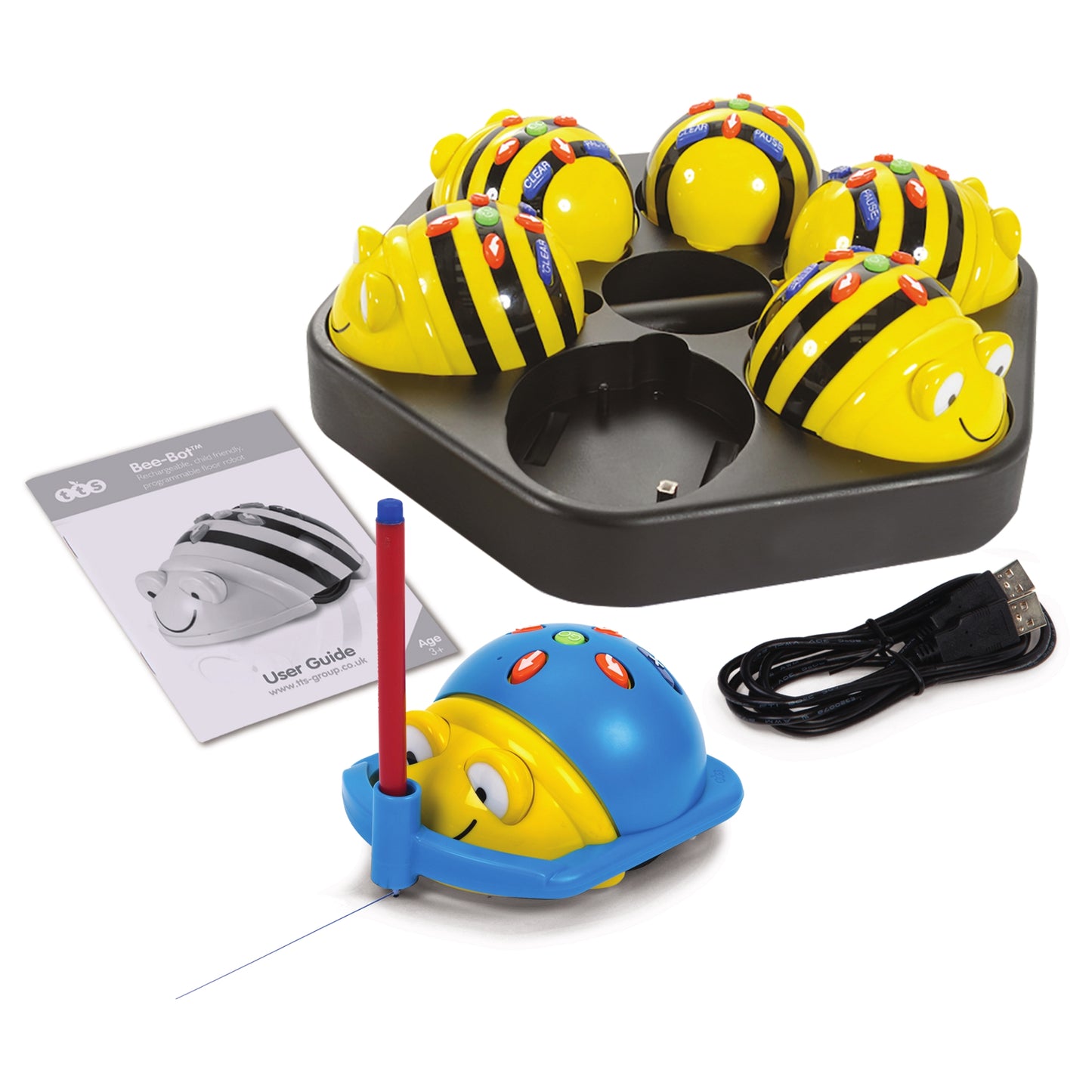 Bee-Bot® Basics