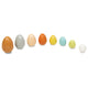 Size and Weight Sorting Eggs