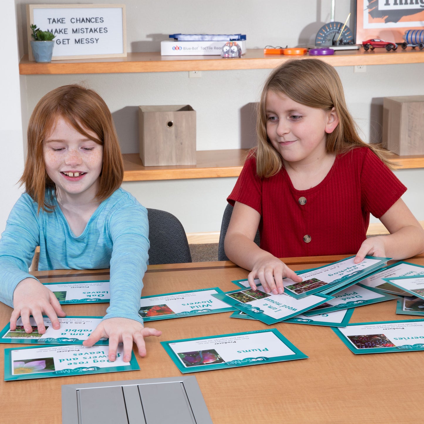 Food Web PreK-2 Activity Bundle