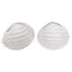Disposable Dust Masks