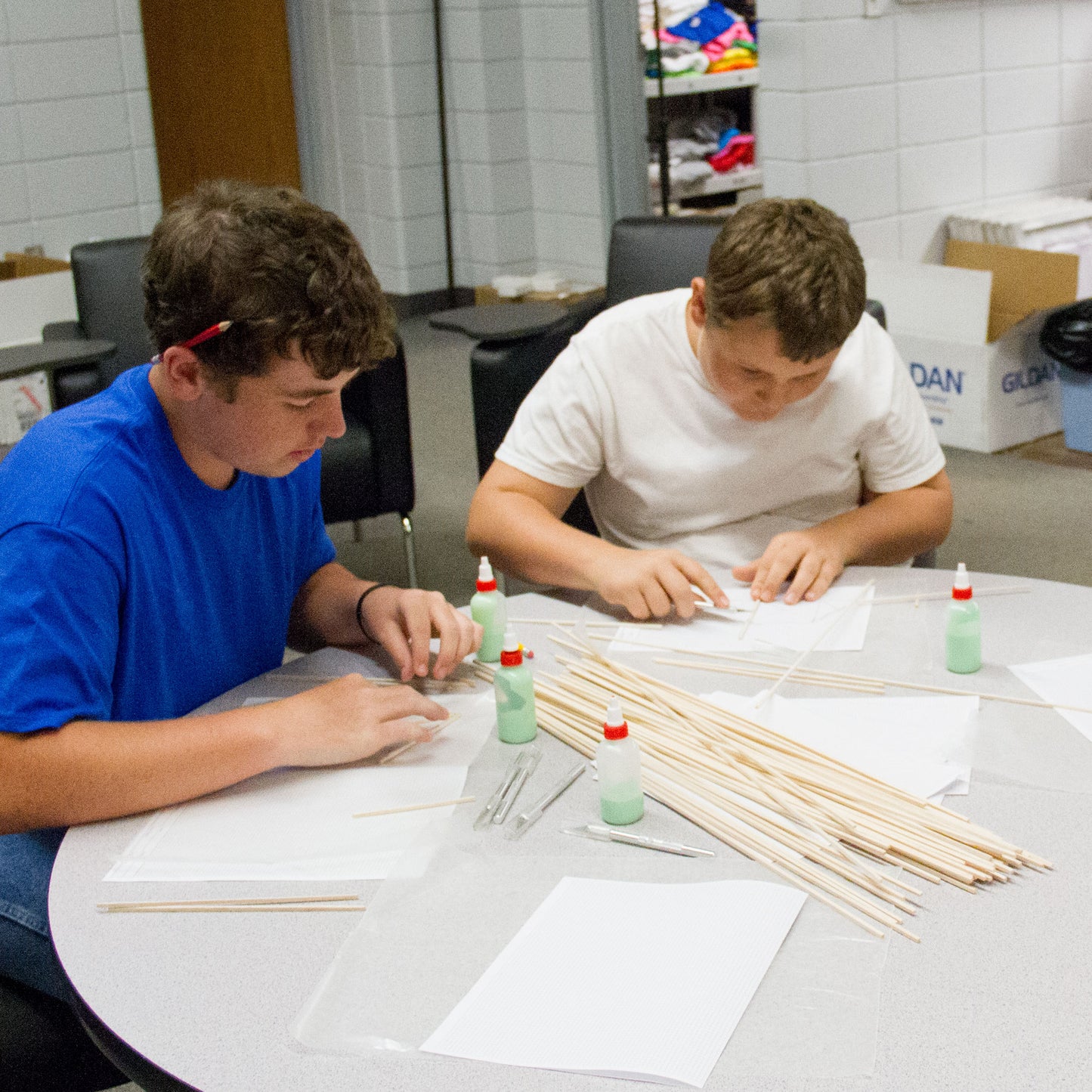 Balsa Wood Strips (1/8" x 1/4" x 36")