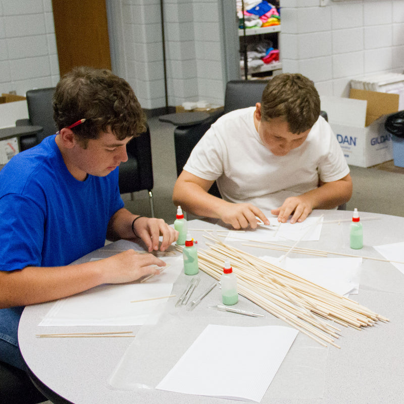 Balsa Wood Strips (1/8" x 1/4" x 36")