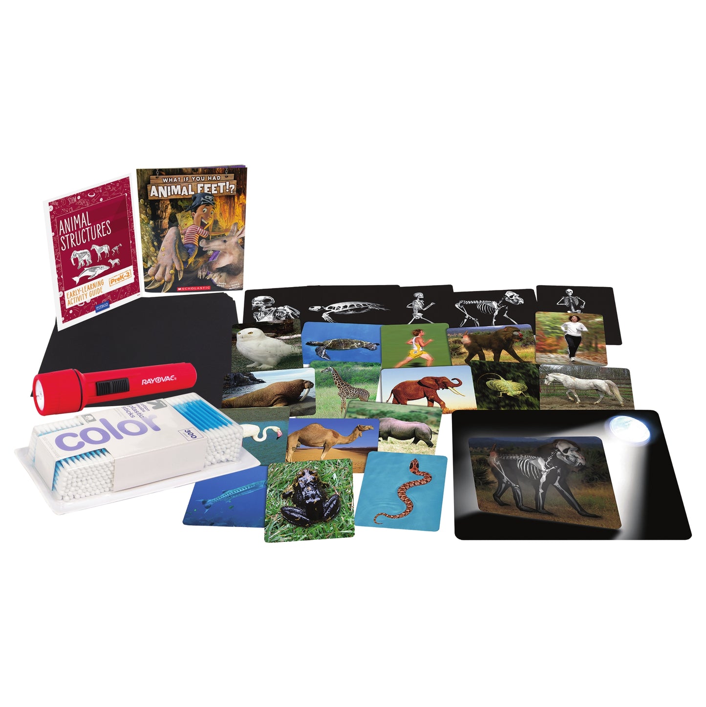 Animal Structures PreK-2 Activity Bundle