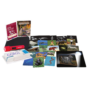 Animal Structures PreK-2 Activity Bundle