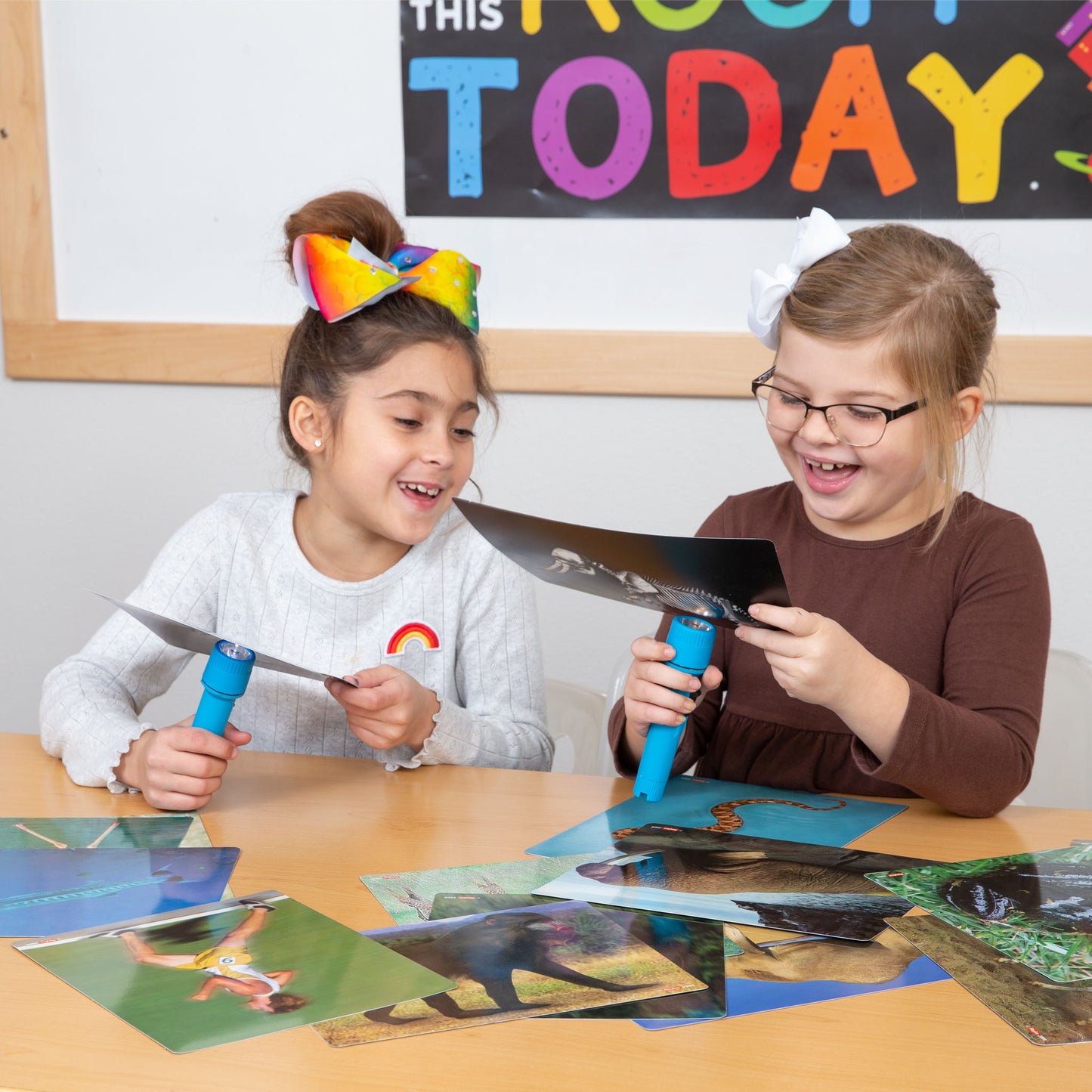 Animal Structures PreK-2 Activity Bundle