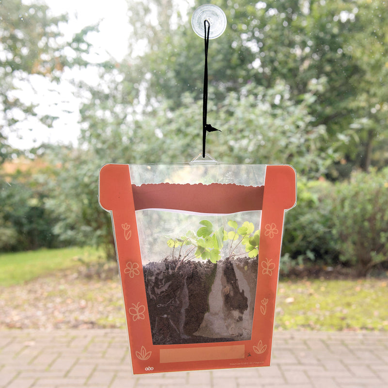 Plants STEM Boost Kit
