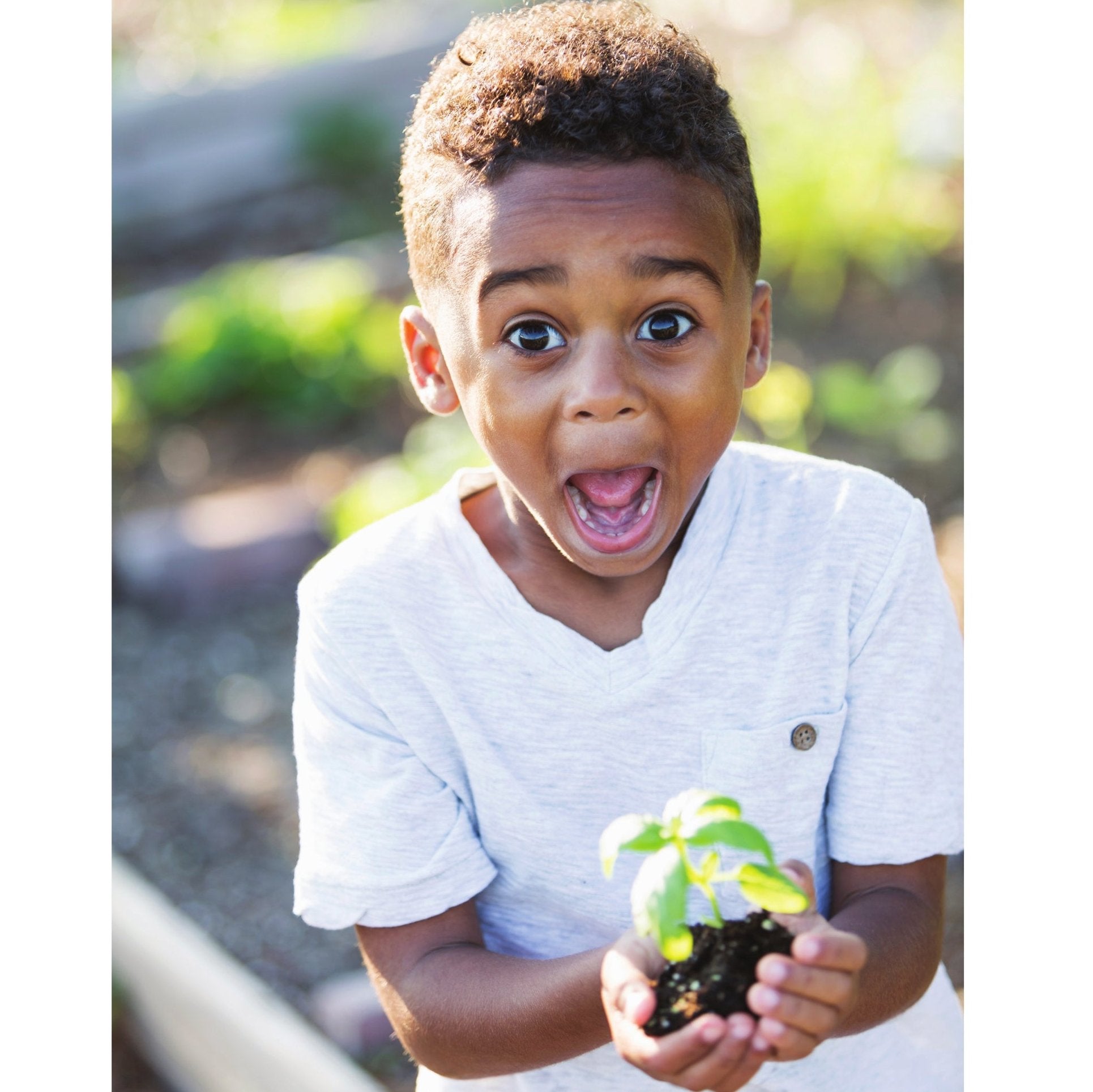 iSprowt Herb Garden 10-Pack | Pitsco Education