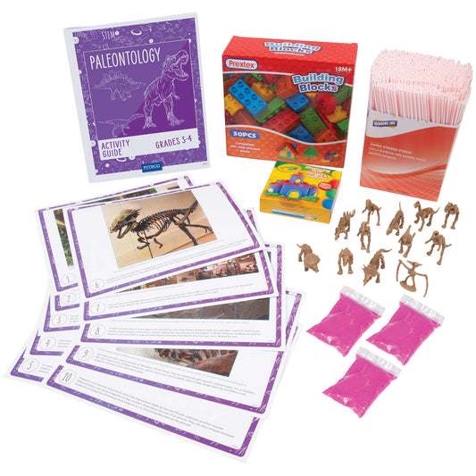 Paleontology Grades 3-4 Activity Bundle