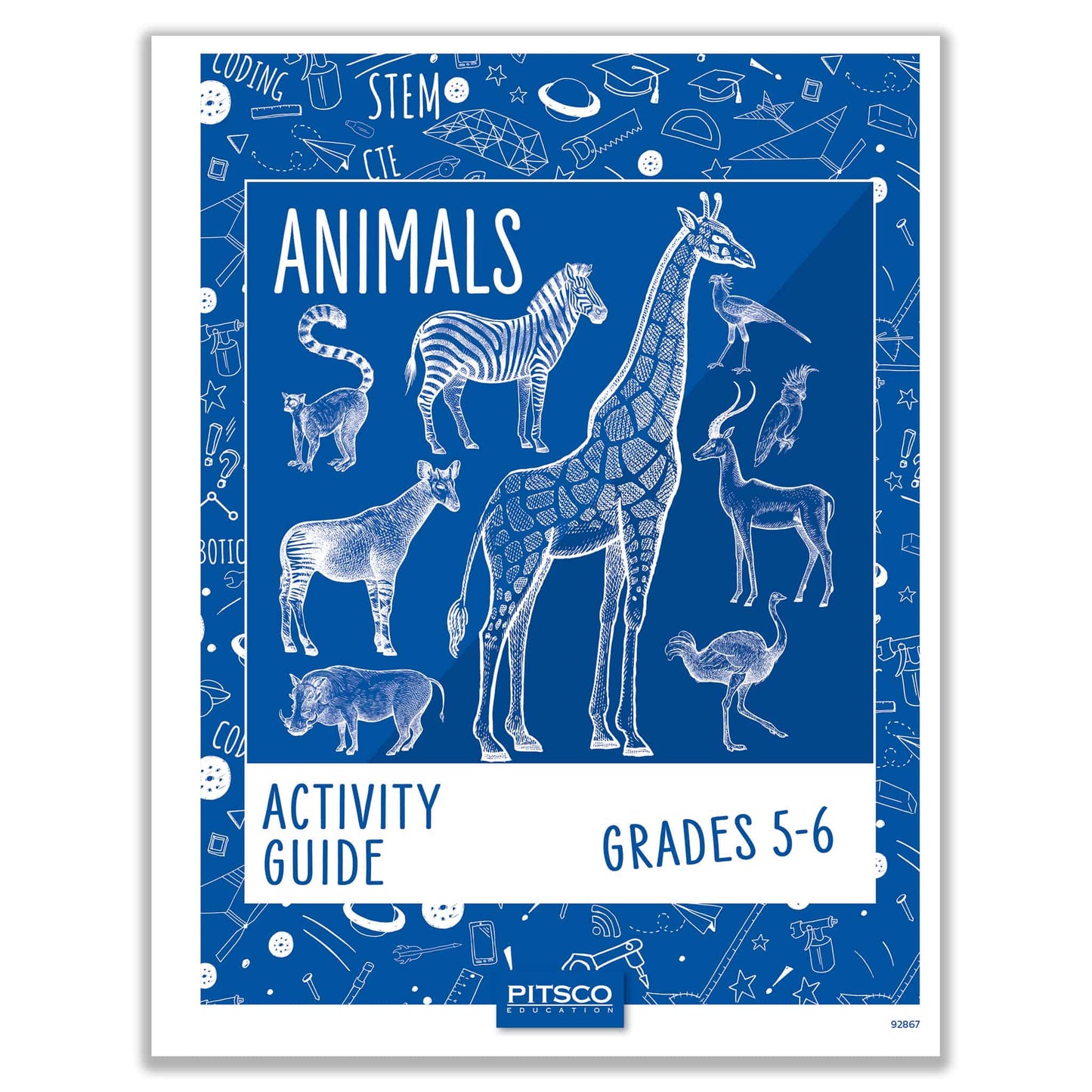 Animals Grades 5-6 Activity Bundle