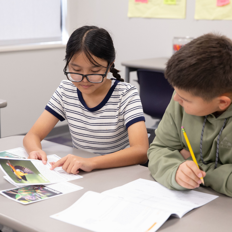 Animals Grades 5-6 Activity Bundle