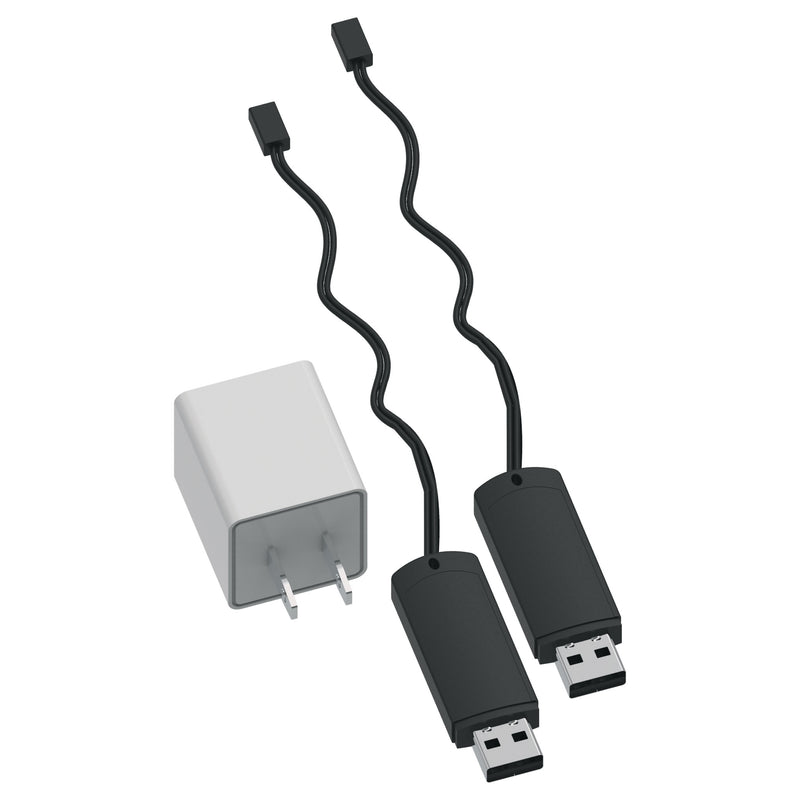 4.2 V charger and a dual-port USB cube