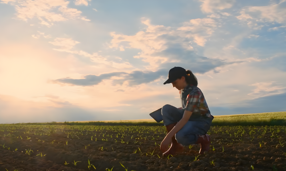 Load video: Exploring farming with FarmBeats